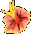 ハイビスカス(紫)