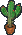 サボテンの鉢植え