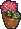 Potted Cactus Flower