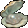 Natural Pearl Shell