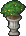 Floor Potted Green Leaves Yellow Fruit