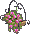 壁掛式紅櫻草